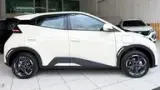 BYD Dolphin Mini - Miniatura 6