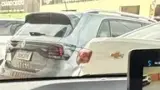 BYD Dolphin Mini - Miniatura 15