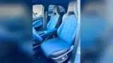 BYD Dolphin Mini - Miniatura 4