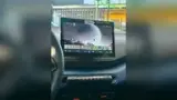 BYD Dolphin Mini - Miniatura 6