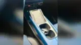 BYD Dolphin Mini - Miniatura 8