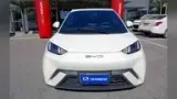 BYD Dolphin Mini - Miniatura 2