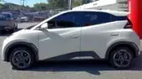 BYD Dolphin Mini - Miniatura 7