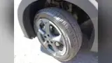 BYD Dolphin Mini - Miniatura 9
