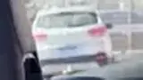 BYD Dolphin Mini - Miniatura 19