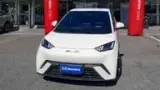 BYD Dolphin Mini - Miniatura 20