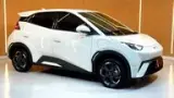 BYD Dolphin - Miniatura 6