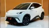 BYD Dolphin Mini - Miniatura 4