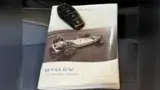 BYD Dolphin Mini - Miniatura 19