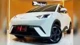BYD Dolphin Mini - Miniatura 2