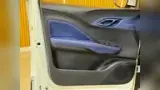 BYD Dolphin Mini - Miniatura 8