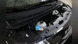 BYD Dolphin - Miniatura 13