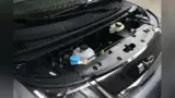 BYD Dolphin - Miniatura 17
