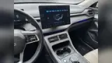 BYD King - Miniatura 8