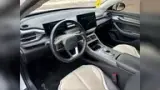 BYD King - Miniatura 12