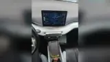 BYD Dolphin Mini - Miniatura 6