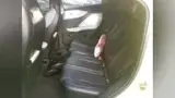 BYD Dolphin Mini - Miniatura 9