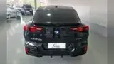 BMW IX2 - Miniatura 5