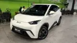 BYD Dolphin Mini - Miniatura 1