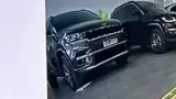 BYD Dolphin Mini - Miniatura 10