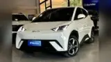 BYD Dolphin Mini - Miniatura 2