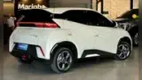 BYD Dolphin Mini - Miniatura 3