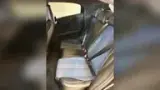 BYD Dolphin Mini - Miniatura 9