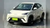 BYD Dolphin - Miniatura 1