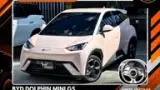 BYD Dolphin Mini - Miniatura 1