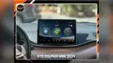 BYD Dolphin Mini - Miniatura 7