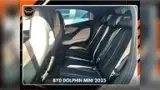 BYD Dolphin Mini - Miniatura 8
