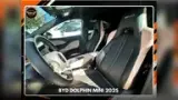 BYD Dolphin Mini - Miniatura 11