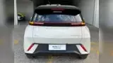 BYD Dolphin Mini - Miniatura 5