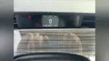 BYD E2 - Miniatura 16