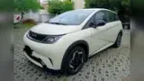 BYD Dolphin - Miniatura 1