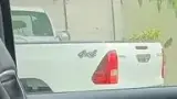BYD Dolphin - Miniatura 7