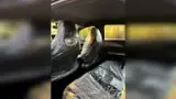 BYD Dolphin - Miniatura 20