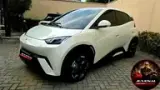 BYD Dolphin Mini - Miniatura 2