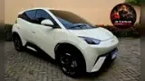 BYD Dolphin Mini - Miniatura 3