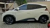 BYD Dolphin Mini - Miniatura 4