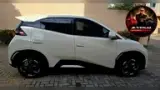 BYD Dolphin Mini - Miniatura 7