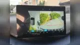 BYD Dolphin Mini - Miniatura 8