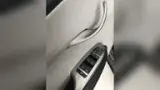 BYD Dolphin - Miniatura 15