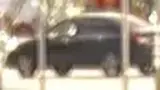 BYD Dolphin Mini - Miniatura 6