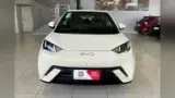 BYD Dolphin Mini - Miniatura 2