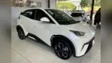 BYD Dolphin Mini - Miniatura 4