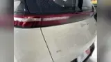 BYD Dolphin Mini - Miniatura 10