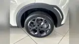BYD Dolphin Mini - Miniatura 16