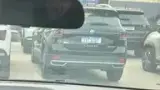 BYD Dolphin Mini - Miniatura 7