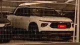 BYD Dolphin Mini - Miniatura 10